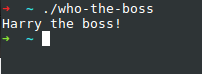 &ldquo;The who-the-boss program is run, printing out &lsquo;Harry the boss!&rsquo;&rdquo;