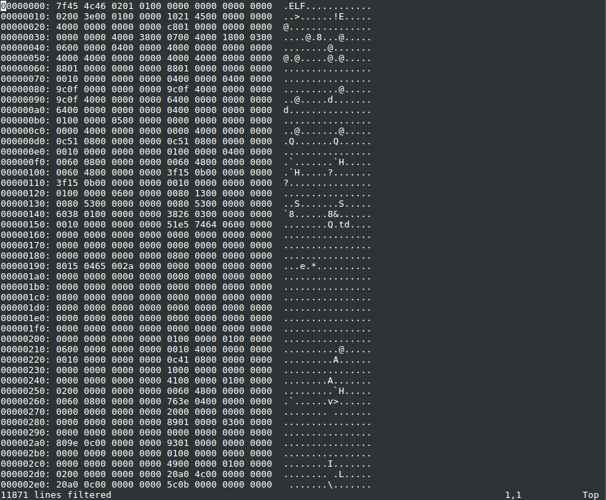 &ldquo;Vim has opened a hex-editor view of the who-the-boss binary&rdquo;